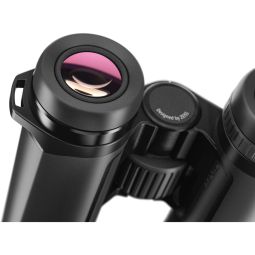 Zeiss SFL 8x30 Binocular | Highgrade & Lightweight