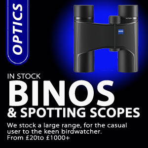 Optics | Binoculars & Scopes