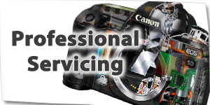 Professional Servicing