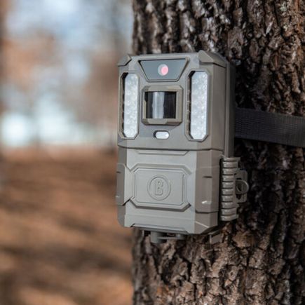 Bushnell 24MP Prime Low Glow Trail Camera | Tan