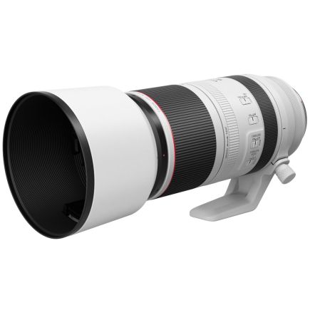 Canon RF 100-500mm F4.5-7.1 L IS USM | Telephoto Zoom Lens