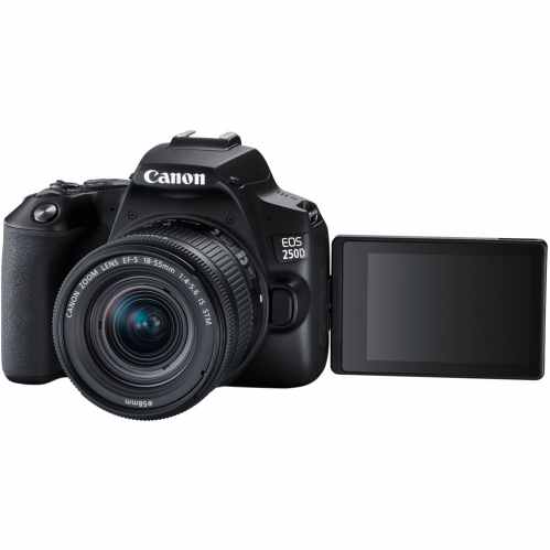 Canon EOS 250D DSLR + EF-S 18-55mm f/4-5.6 IS STM Lens