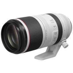 Canon RF 100-500mm F4.5-7.1 L IS USM | Telephoto Zoom Lens