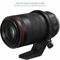 Canon RF 100mm F2.8L MACRO IS USM | Macro Lens