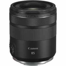 Canon RF 85mm F2 MACRO IS STM | Macro Lens