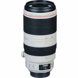 Canon EF 100-400mm f/4.5-5.6L IS II USM | Pro Telephoto Lens