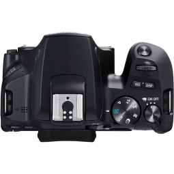 Canon EOS 250D DSLR Body