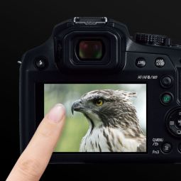 Panasonic Lumix FZ82D 60x Bridge Camera