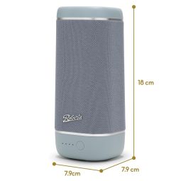 Roberts Radio Reunion BT speaker | Duck Egg
