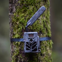 Zeiss Secacam 5 | Trail Camera